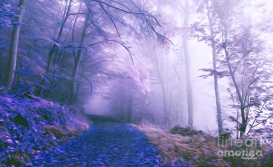 The Magic Forest Digital Art by Chris Armytage