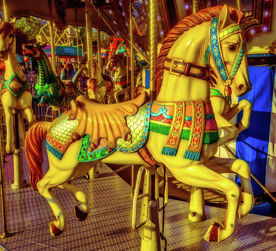 The Magic Of A Carrousel Horse Photograph by Garry Gay