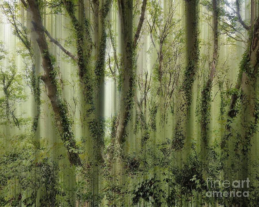 The Magic of a Forest Digital Art by Edmund Nagele FRPS