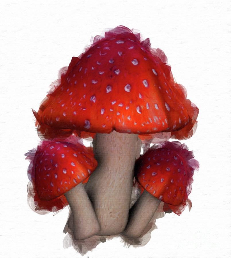 Mushroom Painting - The Magic of Mushrooms by Mary Bassett by Esoterica Art Agency