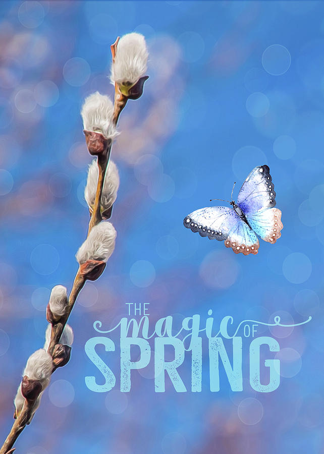 The Magic of Spring Photograph by Cathy Kovarik