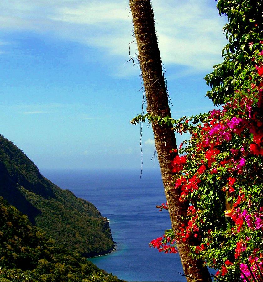 Landscape Photograph - The Magic of St. Lucia by Karen Wiles