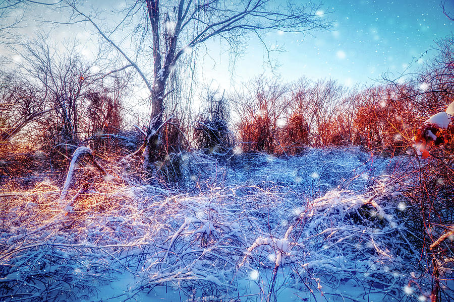The Magic of Winter 2 Mixed Media by Lilia D