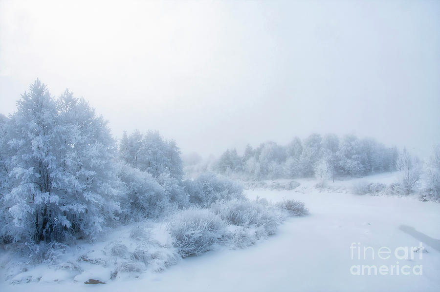 Nature Photograph - The magic of winter 2 by Veikko Suikkanen