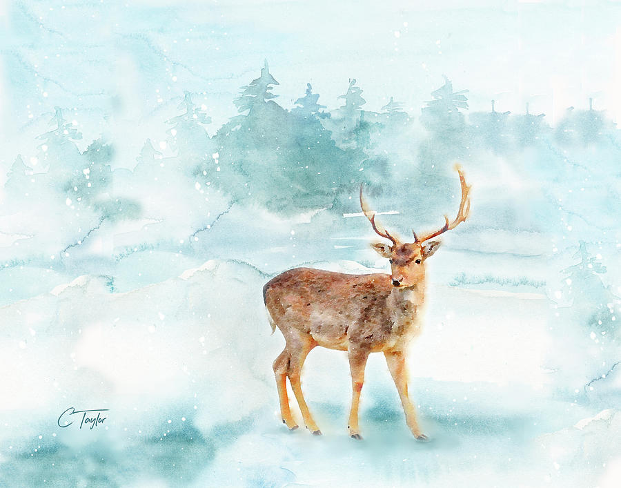 The Magic of Winter  Painting by Colleen Taylor