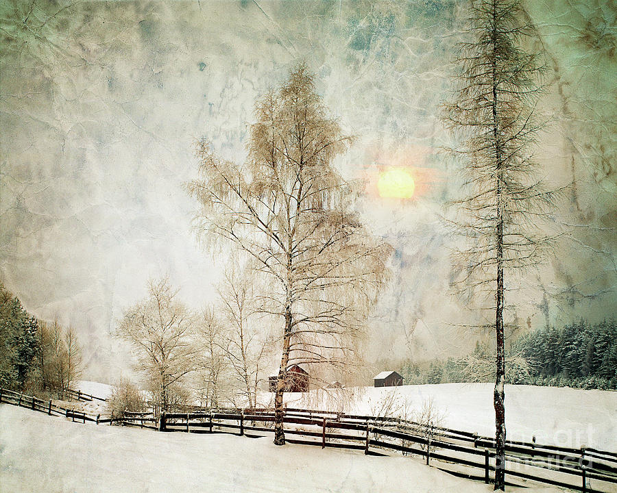 The Magic of Winter Photograph by Edmund Nagele FRPS