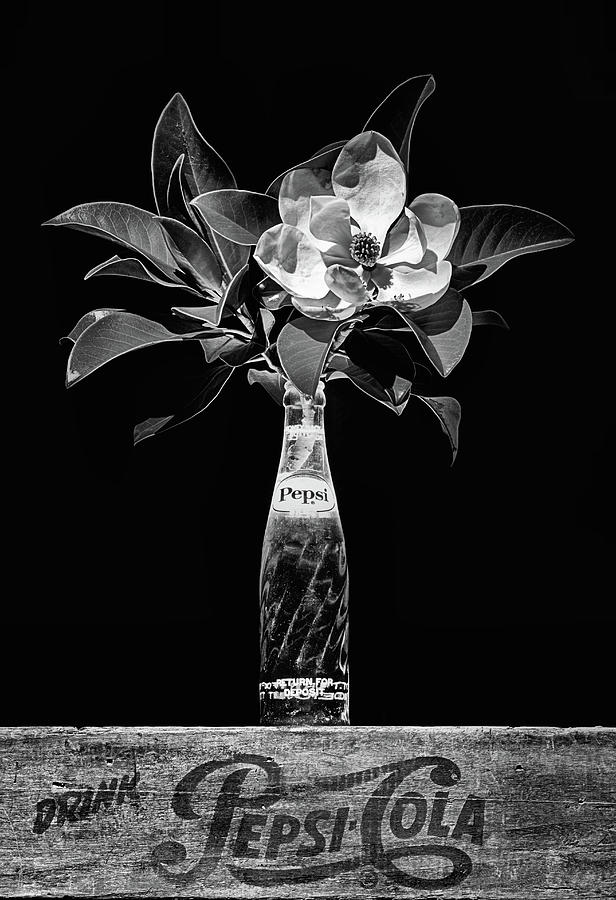 The Magnolia And Pepsi Still Life Black and White Photograph by JC Findley