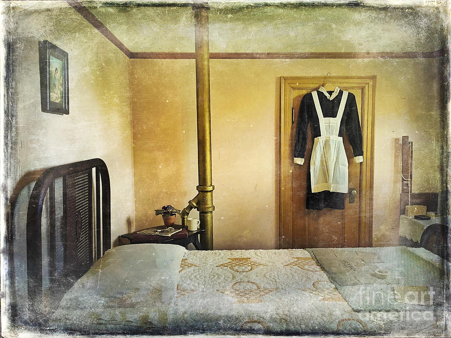 The Maid in Waiting Photograph by Craig J Satterlee