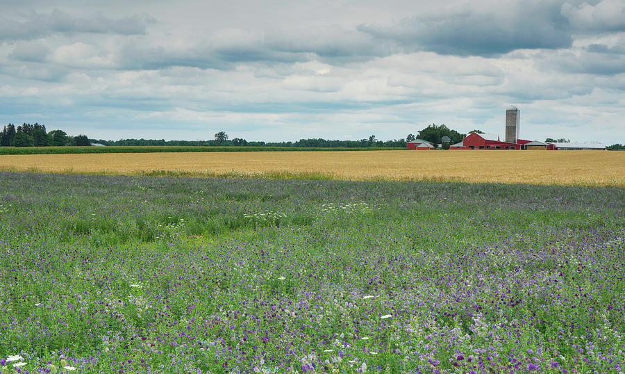 Farming landscape Photograph by Nick Mares