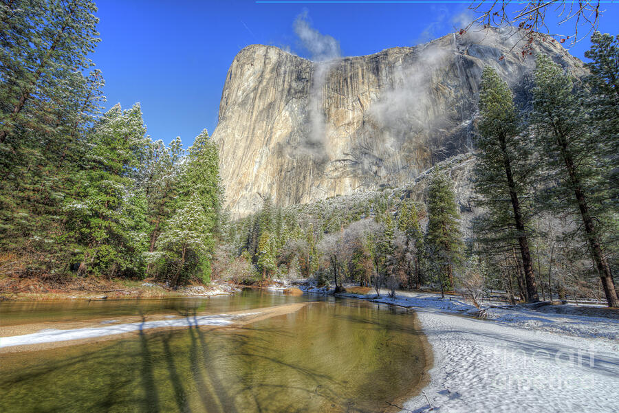 The Majestic El Capitan Yosemite National Park Photograph by Wayne Moran
