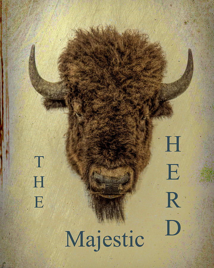 Bison Mixed Media - The Majestic Herd by M Three Photos