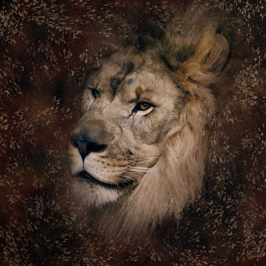 The Male Lion with Texture Pattern Photograph by Jai Johnson