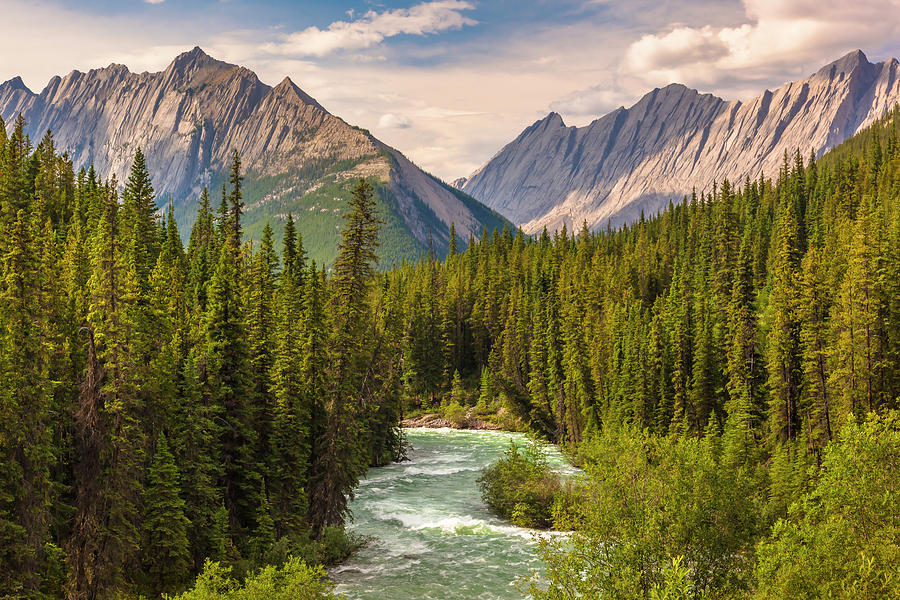 The Maligne River Photograph by Mark Mille