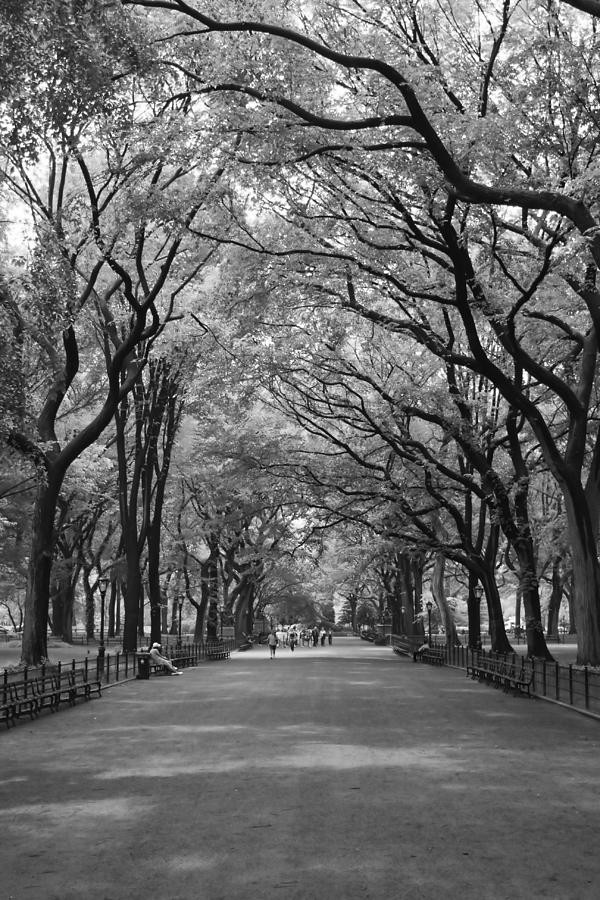 New York City Photograph - The Mall and the Poets by Christopher J Kirby