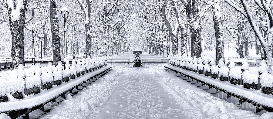 The Mall in Snow Central Park Photograph by Jerry Fornarotto