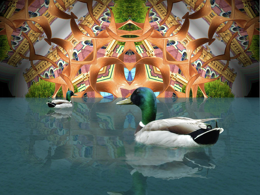 The Mallards Swim The Imagination Digital Art by Glen Faxon