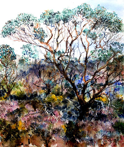 Landscape Painting - The Mallee by Kevan Collett Landscape Painting - The Mallee by Kevan Collett