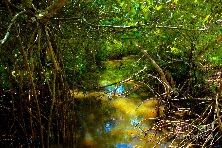 The Mangroves Painting by David Lee Thompson