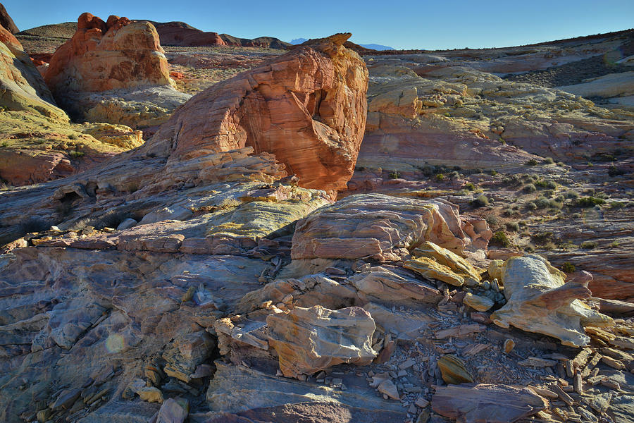 The Many Colors of Valley of Fire State Park Photograph by Ray Mathis