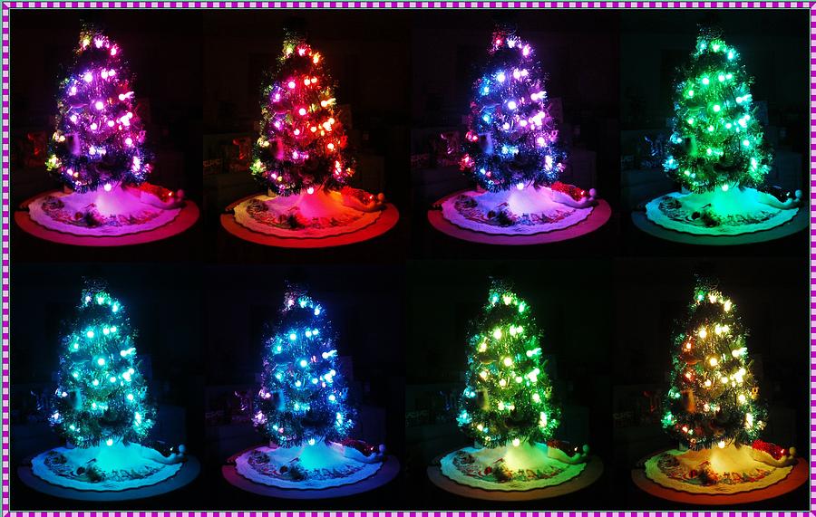 The Many Moods Of Christmas Trees Photograph by Denise F Fulmer