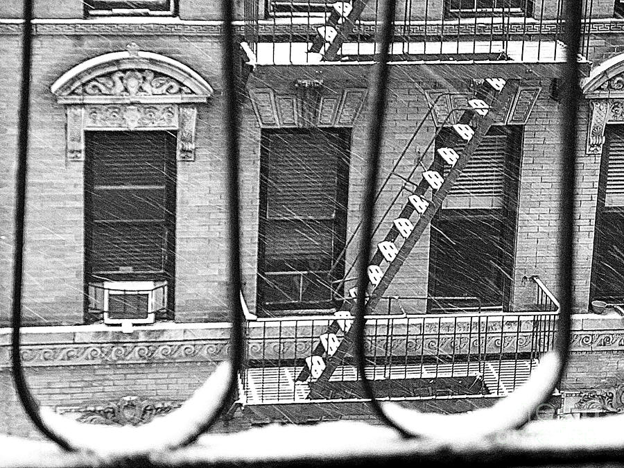 The Many Names of Snow - Winter in New York Photograph by Miriam Danar