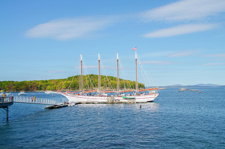 The Margaret Todd - Bar Harbor Maine Photograph by Bill Cannon