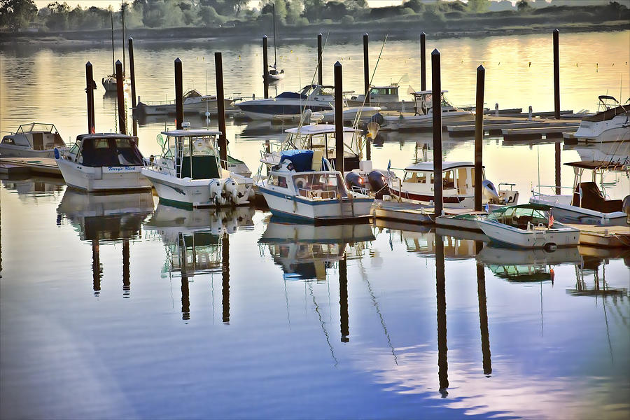 The Marina Photograph by Pat Carosone - Fine Art America