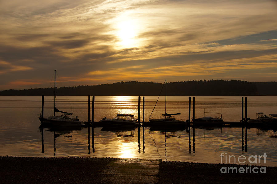 Nature Photograph - The Marina by Sean Griffin