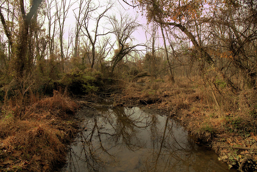 The Marsh at Jones Point West Photograph by Robert McCulloch - Fine Art ...