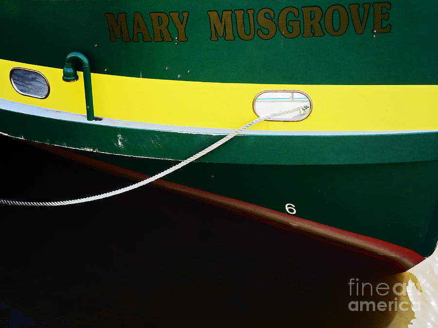 The Mary Musgtove Photograph by Rick Locke - Out of the Corner of My Eye