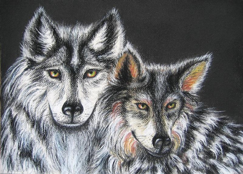 The Mates Mexican Wolves Painting by Elizabeth H Tudor | Fine Art America