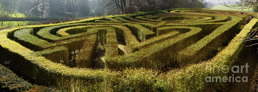 The Maze Photograph by Colin Rayner