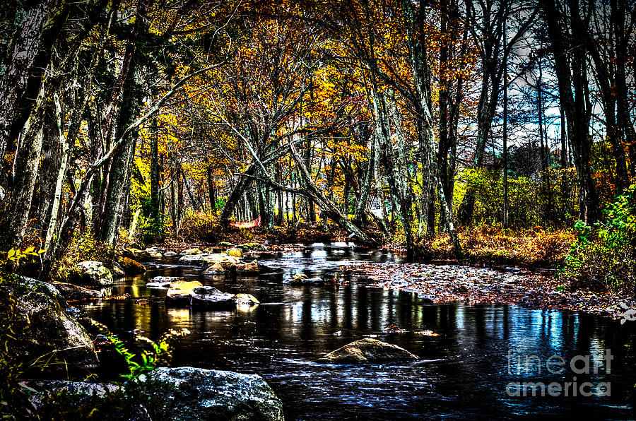 Tree Photograph - The McMichael Creek by Eric Geschwindner