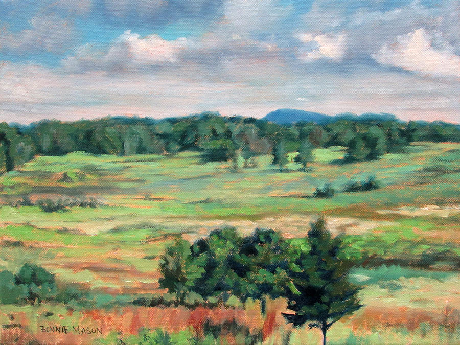 National Parks Painting - The Meadow - Big Meadows on Skyline Drive by Bonnie Mason