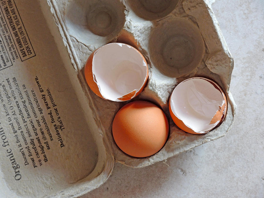 The Meaning of Eggshells Photograph by Lynda Lehmann