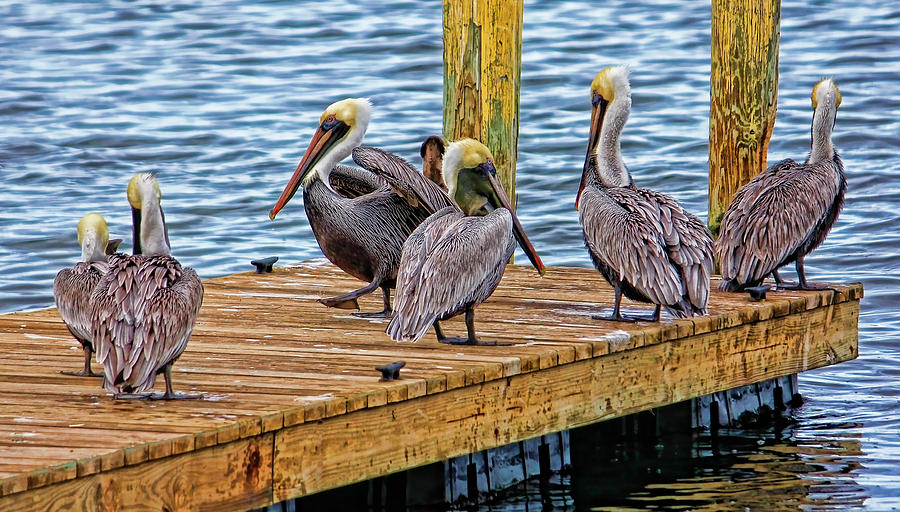 The Meeting Place Photograph by HH Photography of Florida