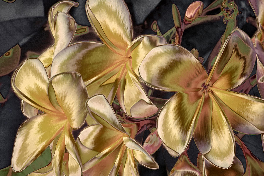 The Metallic Plumeria Collection 2 Photograph by HH Photography of Florida  - Fine Art America