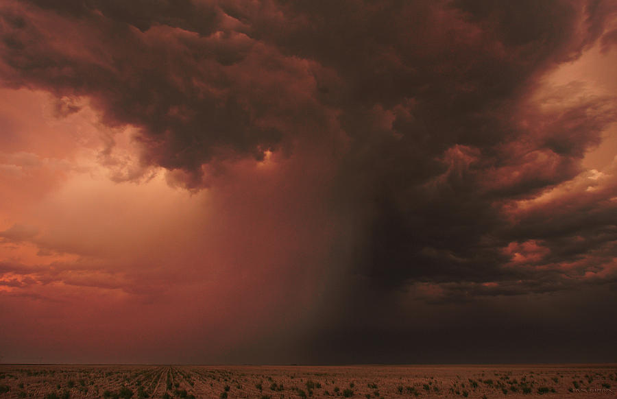 The Microburst Photograph by Brian Gustafson