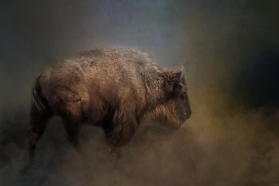The Mighty Bison 1 Photograph by Jai Johnson