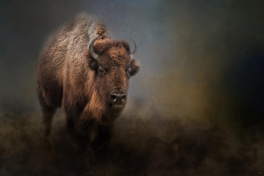 The Mighty Bison 2 Photograph by Jai Johnson