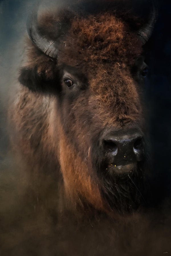 The Mighty Bison 4 Photograph by Jai Johnson