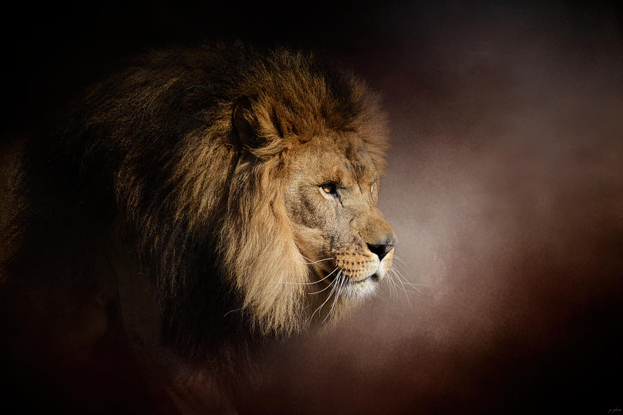 Cat Photograph - The Mighty Lion by Jai Johnson