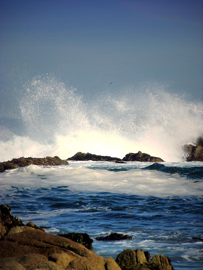 The Mighty Pacific Grab A Chair And Watch The Show Two Photograph by ...