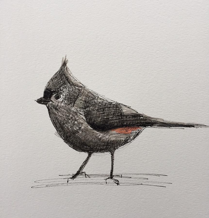 The Mighty Titmouse Drawing by Gail Eisenfeld