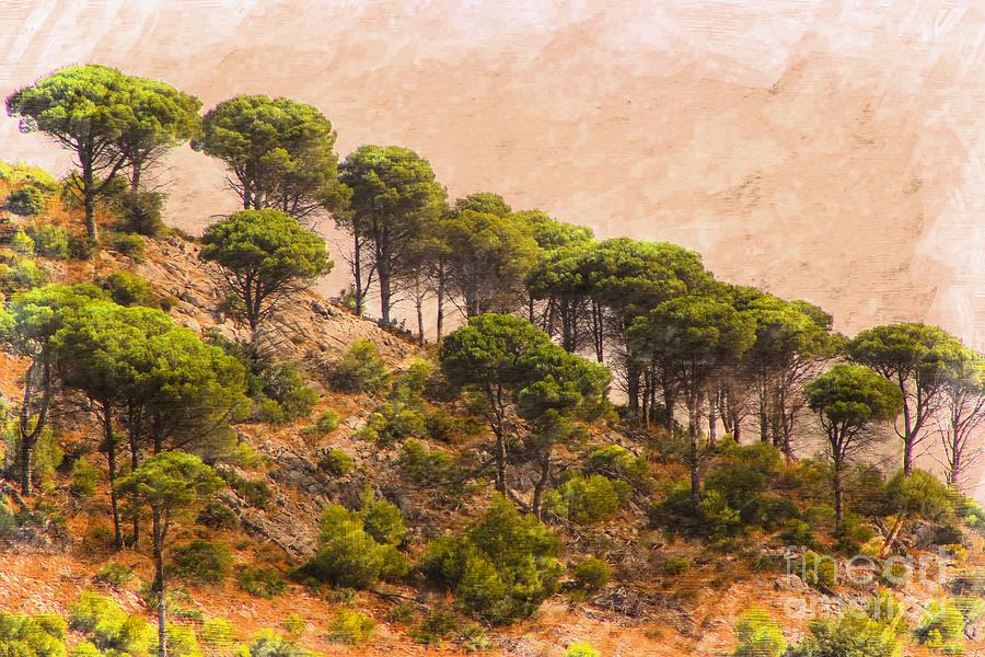 The Mijas Hills Photograph by Clare Bevan
