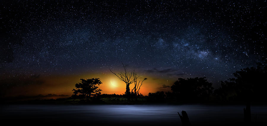 Nature Photograph - The Milky Way Tree by Mark Andrew Thomas