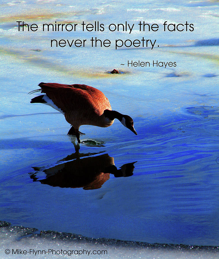 The Mirror Tells Only the Facts Photograph by Mike Flynn