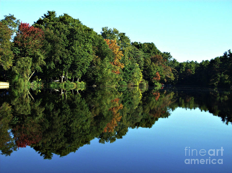 Tree Photograph - The Mirror Image by Mary Ann Weger