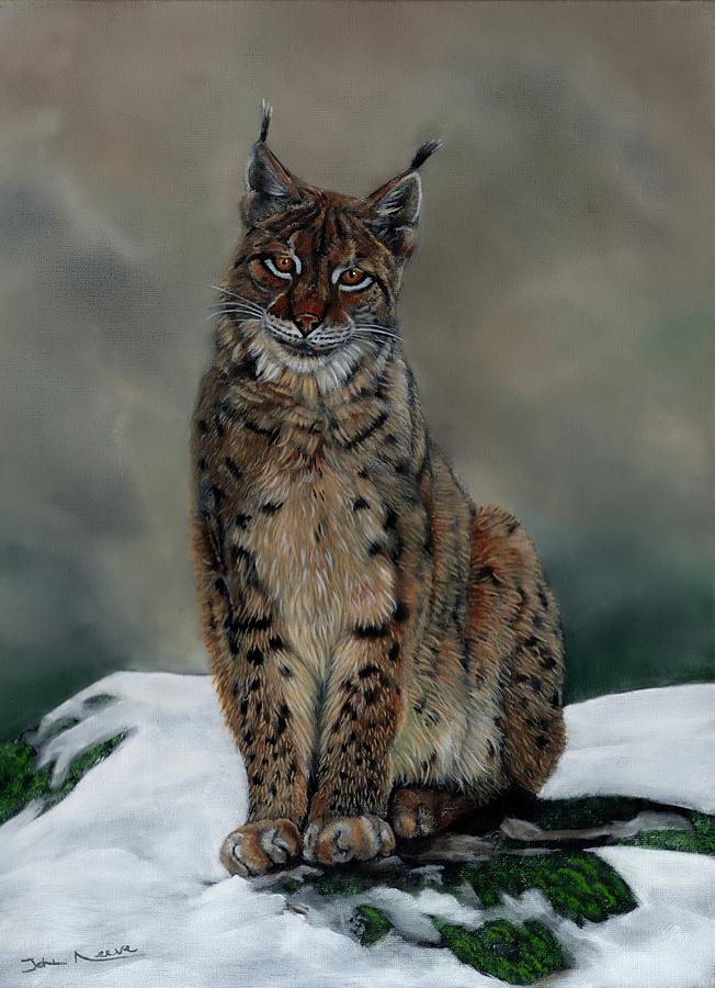 The Missing Lynx Painting by John Neeve