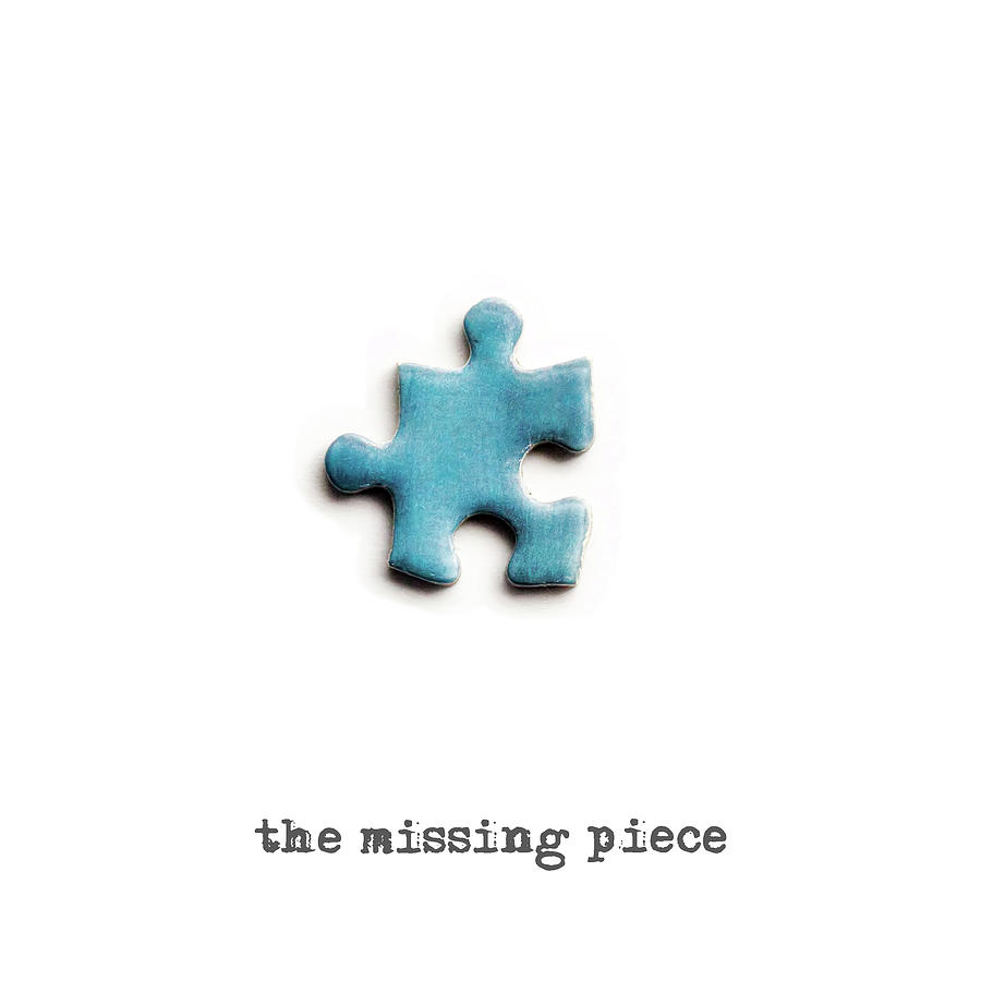 The missing piece Photograph by Micah Offman